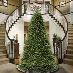 National Tree Company 12 ft. Dunhill Fir Hinged Artificial Christmas Tree, Full Body, 7794 Tips thumbnail 2