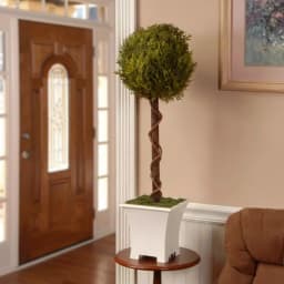 National Tree Company 30 in. Artificial Evergreen Topiary Tree with White Metal Pot thumbnail 2