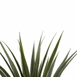 Nearly Natural 4 ft. Spiked Agave Artificial Plant in Black Plastic Pot thumbnail 4