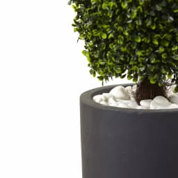 Nearly Natural 50 in. Artificial Boxwood Cone Topiary with Gray Cylindrical Planter, UV Resistant Indoor/Outdoor thumbnail 2