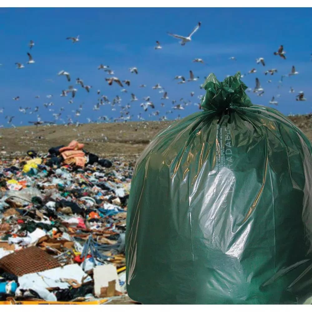 Stout 33 Gallon Totally Degradable Trash Bags, 40 Count Box, Green