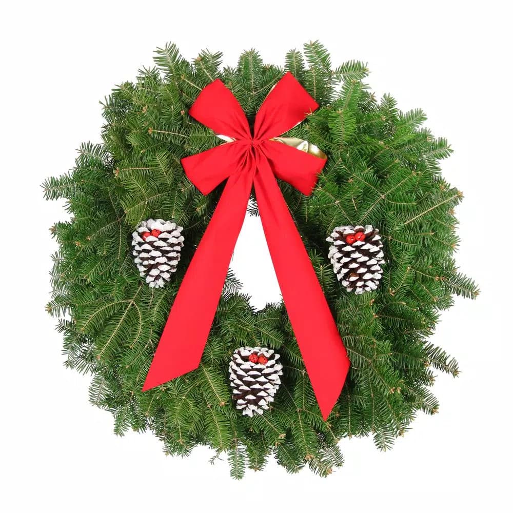 Unbranded 25 in. Live Balsam Fir Christmas Wreath with Red Velvet Bow and Pine Cones
