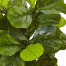 Nearly Natural 4.5 ft. Real Touch Fiddle Leaf Fig Artificial Tree with White Clay Planter thumbnail 2