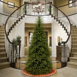 National Tree Company 9 ft. Dunhill Fir Slim Artificial Christmas Tree, 2832 Tips, Unlit thumbnail 2