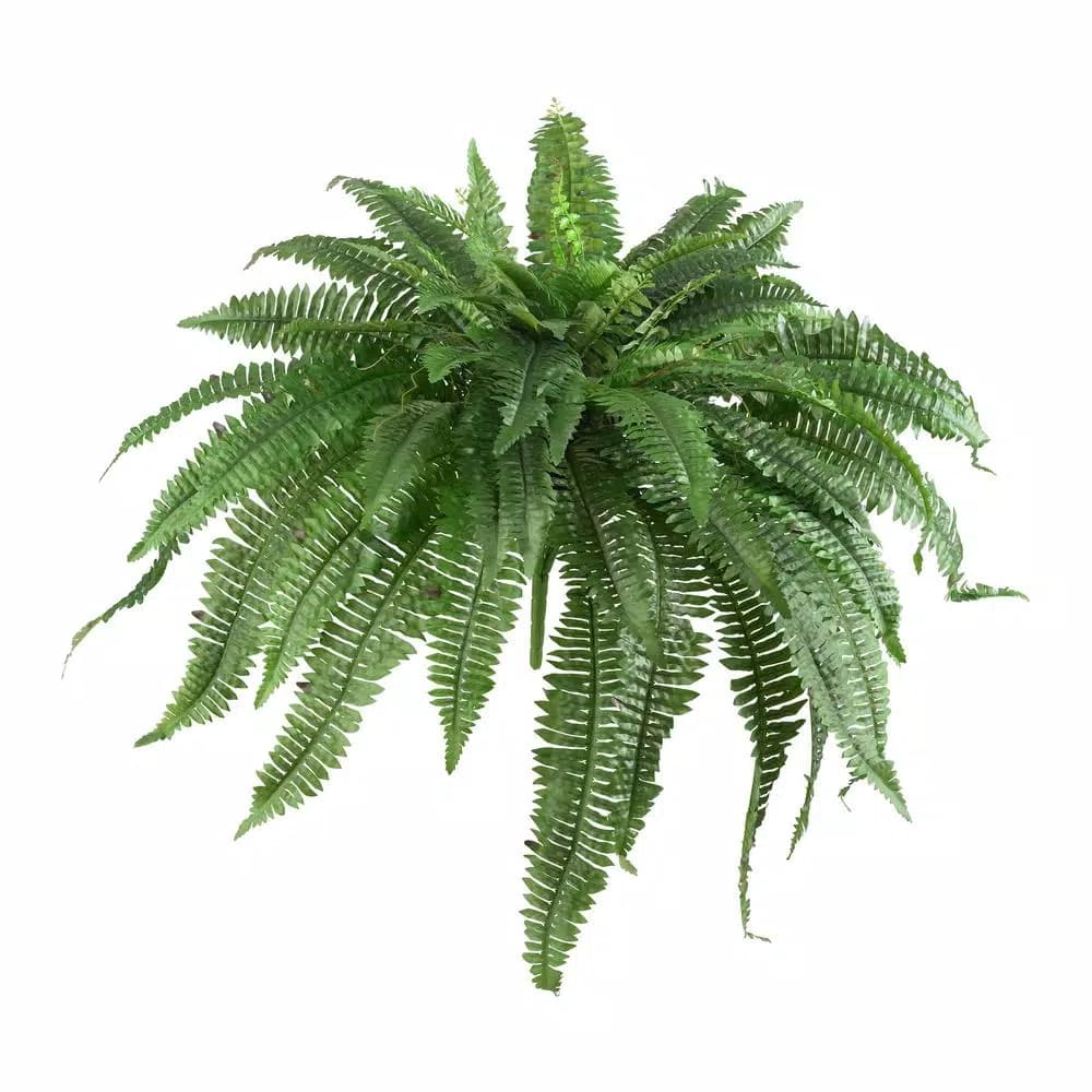 Nearly Natural 48 in. Artificial Boston Fern Set of 2 - Green Indoor Houseplants