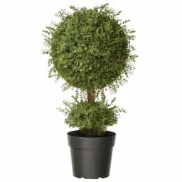 National Tree Company 30 in. Mini Tea Leaf 1 Ball Topiary in Green Round Growers Pot thumbnail 1