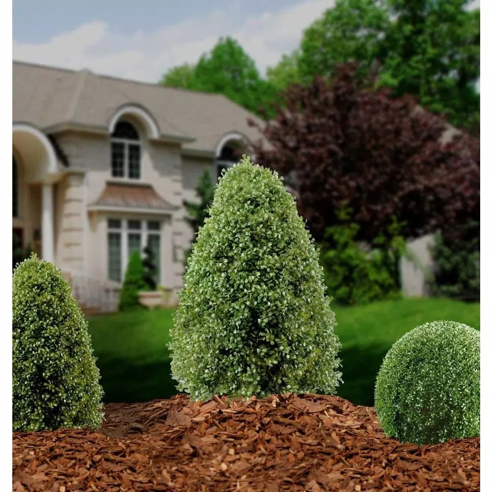 National Tree Company 3 ft. Artificial Boxwood Tree in Dark Green Round Plastic Urn