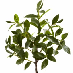 Nearly Natural 2.41 ft. Artificial Topiary with Ornate Clay Planter, Green thumbnail 2