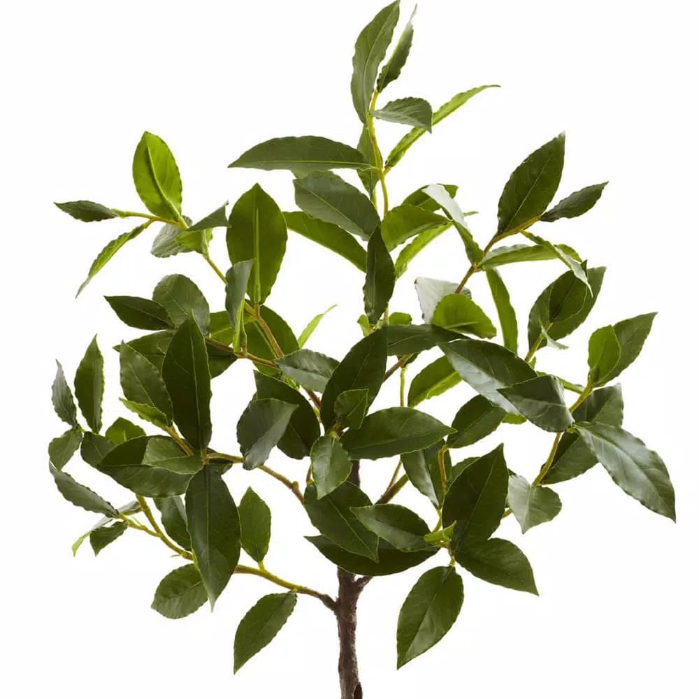 Nearly Natural 2.41 ft. Artificial Topiary with Ornate Clay Planter, Green