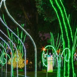 Wintergreen Lighting 150 ft. Green LED Rope Light Kit, 1800 Lights, Dimmable & Weather Resistant thumbnail 3