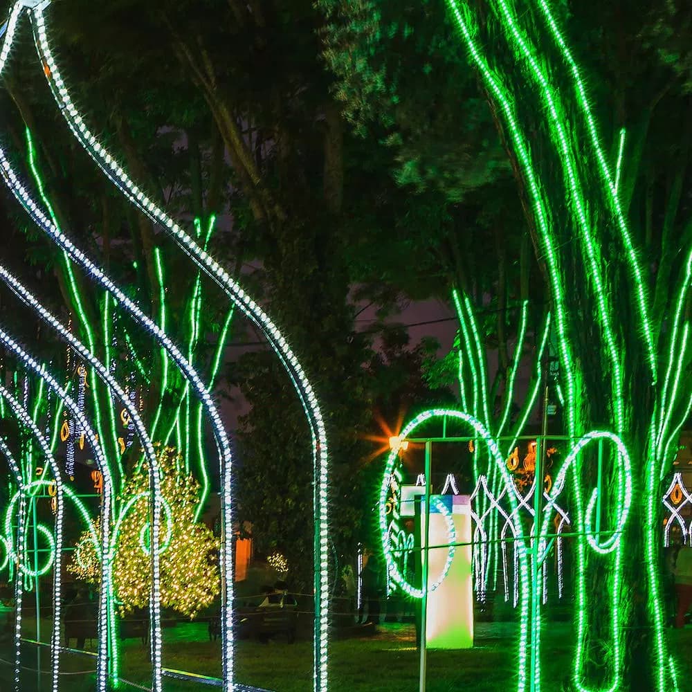 Wintergreen Lighting 150 ft. Green LED Rope Light Kit, 1800 Lights, Dimmable & Weather Resistant