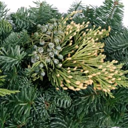 VAN ZYVERDEN 4 ft. Fresh Cut Pacific Northwest Evergreen Garland with Noble Fir, Juniper, and Cedar thumbnail 3