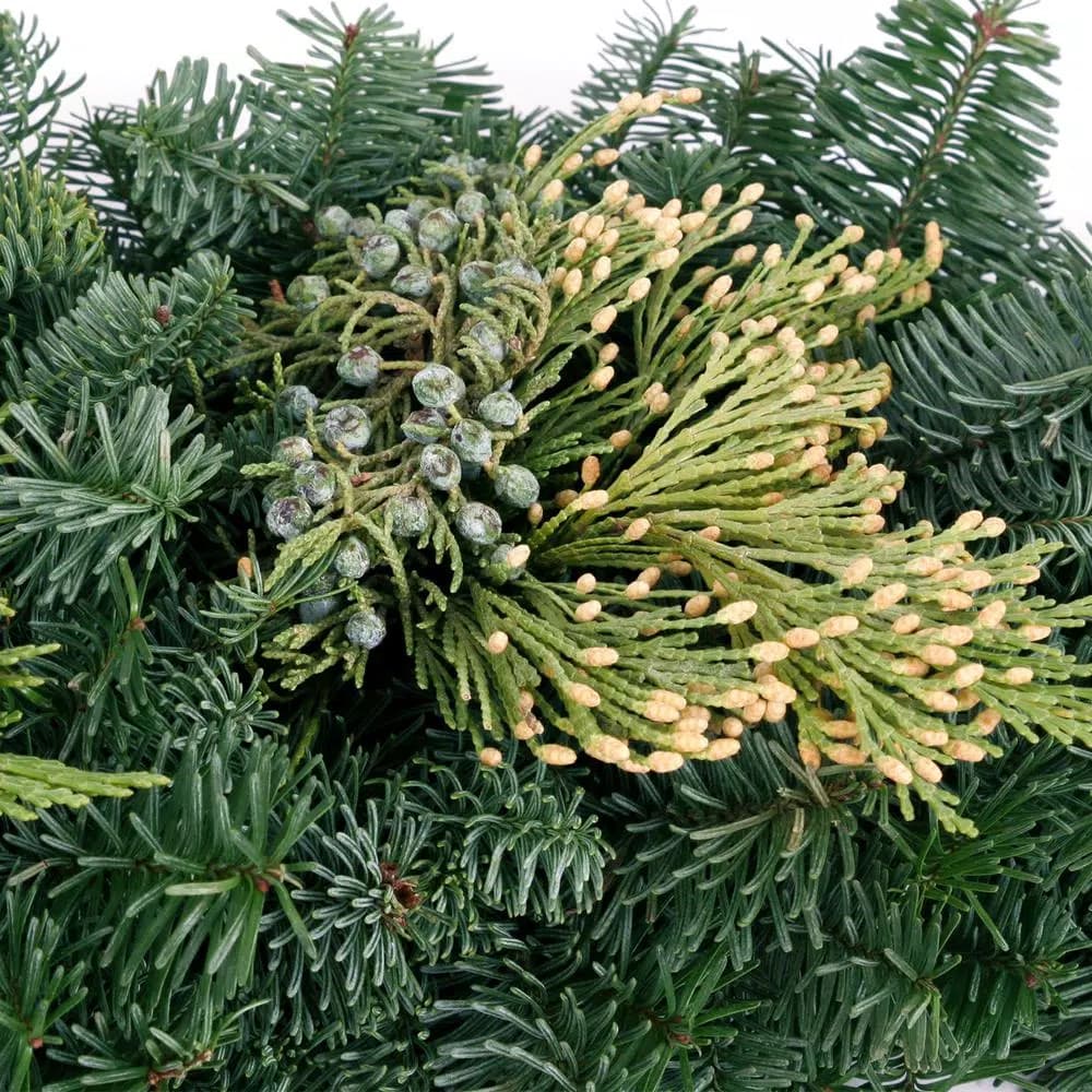 VAN ZYVERDEN 4 ft. Fresh Cut Pacific Northwest Evergreen Garland with Noble Fir, Juniper, and Cedar