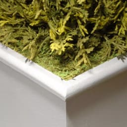 National Tree Company 42 in. Artificial Juniper Tree in White Pot - Indoor/Outdoor Topiary thumbnail 4