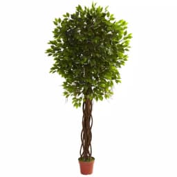 Nearly Natural 7.5 ft. UV Resistant Ficus Tree - Indoor/Outdoor Artificial Plant thumbnail 1