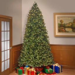 National Tree Company 9 ft. Bayberry Spruce Artificial Christmas Tree with 1000 Dual Color LED Lights & PowerConnect System thumbnail 2