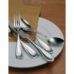 Oneida Voss II 18/0 Stainless Steel Teaspoons, Set of 12 thumbnail 4