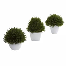 Nearly Natural Mixed Cedar Topiary Collection, Set of 3 with Ceramic Planters thumbnail 1