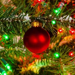 LUMABASE 200-Light Red and Green Mini String Lights, Steady Incandescent, Green Cord thumbnail 5