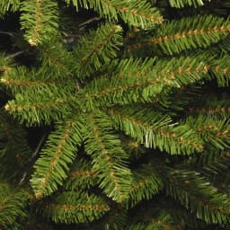 National Tree Company 7 ft. Kingswood Fir Pencil Slim Artificial Christmas Tree, Unlit, Green thumbnail 3