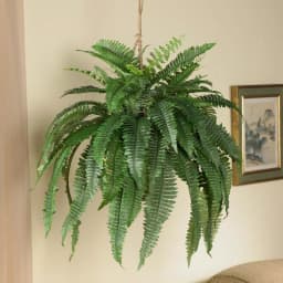 Nearly Natural Large Artificial Boston Fern Hanging Basket - Green Silk Plant in Wicker Pot thumbnail 4
