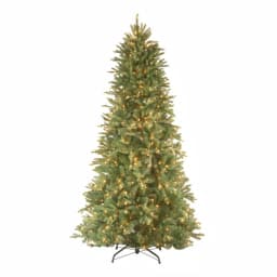 National Tree Company 9 ft. Tiffany Fir Slim Artificial Christmas Tree with 800 Clear Lights thumbnail 1