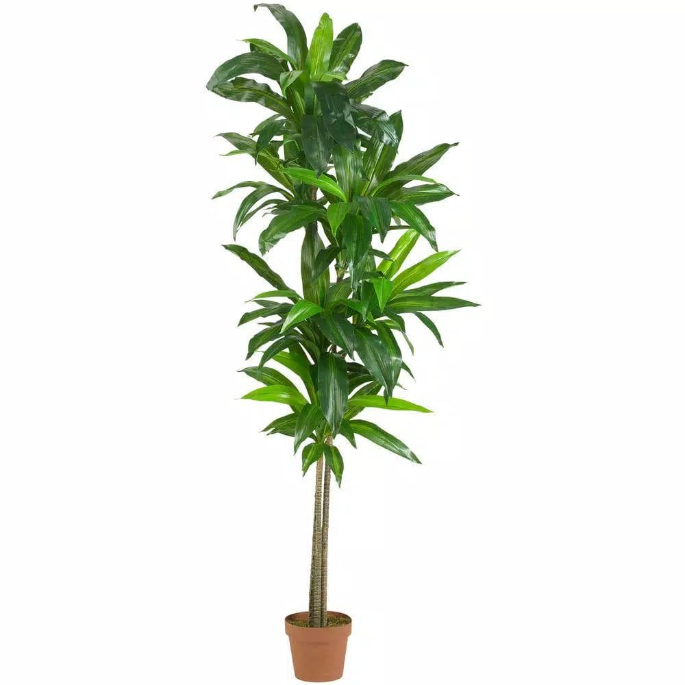 Nearly Natural Real Touch 6 ft. Dracaena Silk Artificial Tree with Planter