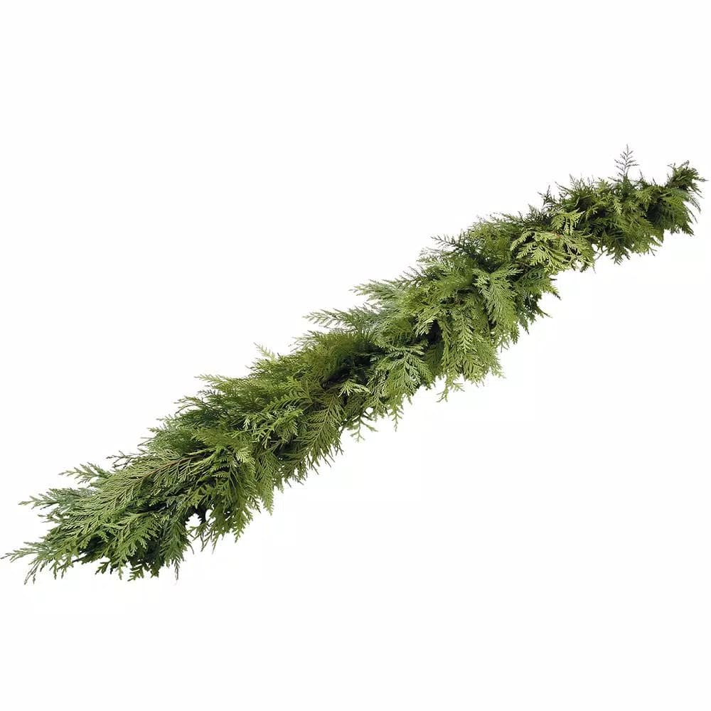 VAN ZYVERDEN 15 ft. Fresh Cut Pacific Northwest Western Red Cedar Coil Garland