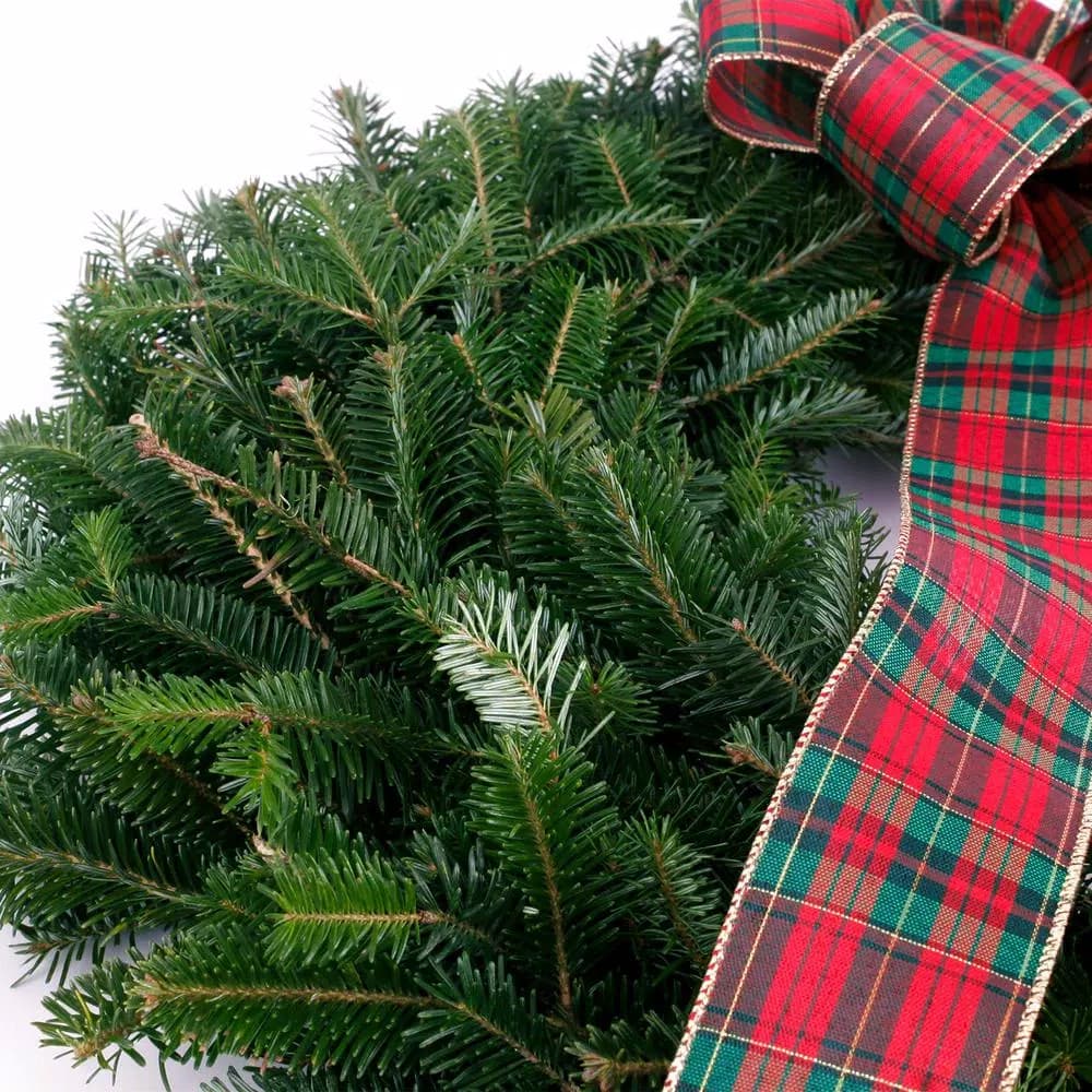 VAN ZYVERDEN 24 in. Live Fresh Cut Blue Ridge Mountain Fraser Fir Decorated Christmas Wreath with Bow