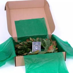 VAN ZYVERDEN 24 in. Fresh Magnolia Christmas Wreath - Natural Greenery thumbnail 2