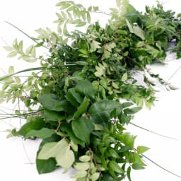 VAN ZYVERDEN 6 ft. Fresh Cut Pacific Northwest Deluxe Evergreen Holiday Garland Mix Coil Runner thumbnail 3