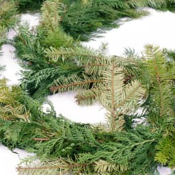 VAN ZYVERDEN 15 ft. Fresh Cut Pacific Northwest Douglas Fir and Western Red Cedar Mix Coil Garland thumbnail 4