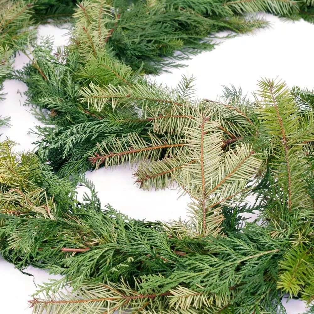 VAN ZYVERDEN 15 ft. Fresh Cut Pacific Northwest Douglas Fir and Western Red Cedar Mix Coil Garland