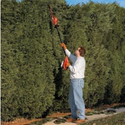 BLACK+DECKER 20V MAX 18 in. Cordless Pole Hedge Trimmer, Tool Only thumbnail 2