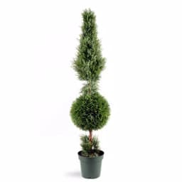National Tree Company 5 ft. Artificial Juniper Cone and Ball Topiary Tree in Green Plastic Pot thumbnail 1