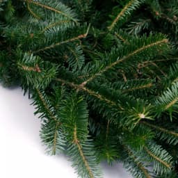 VAN ZYVERDEN 12 ft. Fresh Cut Blue Ridge Mountain Fraser Fir Coil Holiday Garland thumbnail 2
