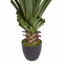 Nearly Natural 4 ft. Spiked Agave Artificial Plant in Black Plastic Pot thumbnail 5