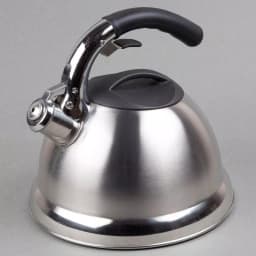 Creative Home Avalon 12-Cup Stainless Steel Whistling Tea Kettle with Lever Pour System, Silver thumbnail 2