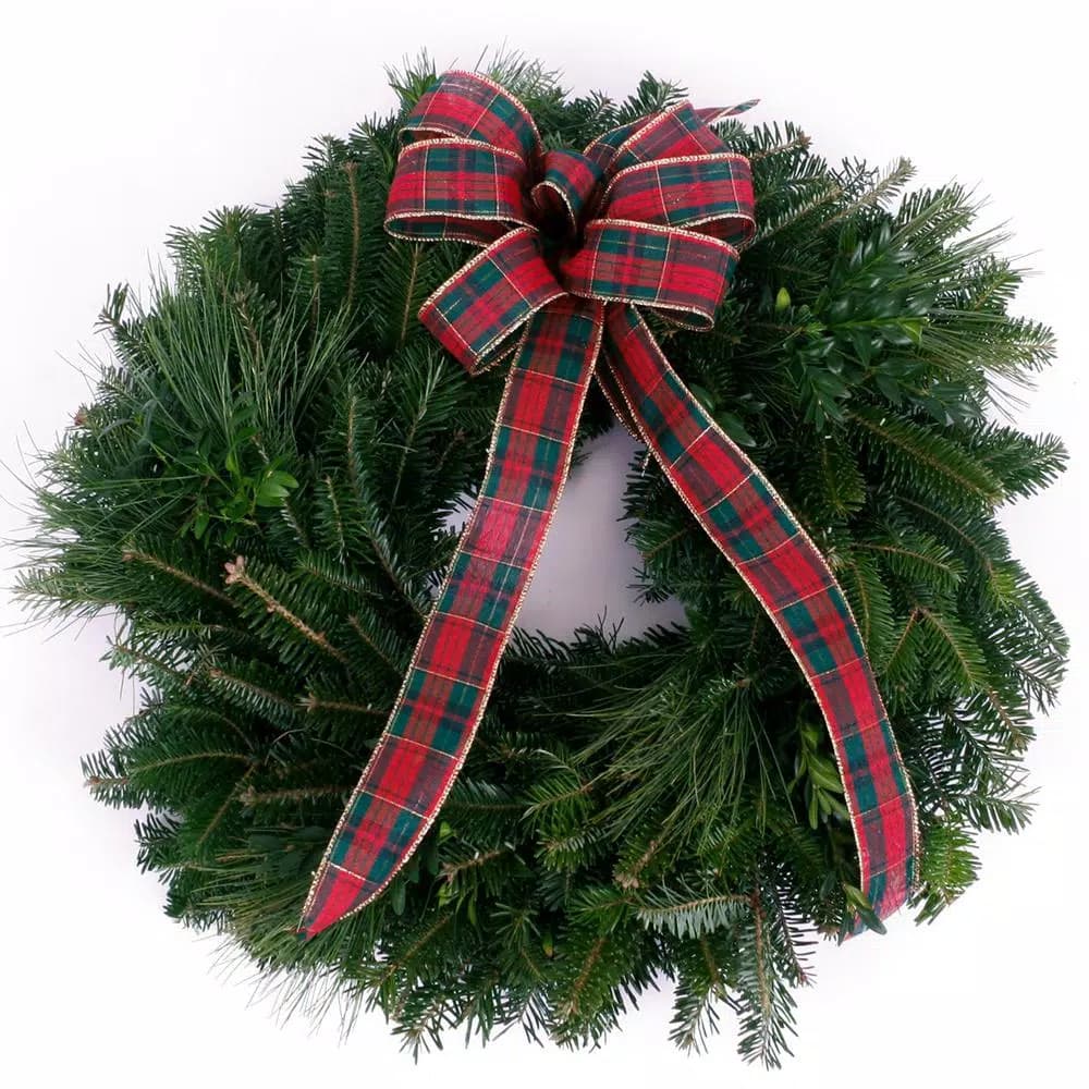 VAN ZYVERDEN 16 in. Live Fresh Cut Blue Ridge Mountain Mixed Evergreen Christmas Wreath with Red Bow