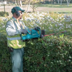 Makita 36V (18V x2) LXT Cordless Hedge Trimmer Kit with (2) 5.0 Ah Batteries and Dual Port Charger thumbnail 6