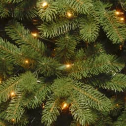 National Tree Company 12 ft. Feel Real Newberry Spruce Artificial Christmas Tree with 2000 Dual Color LED Lights thumbnail 3