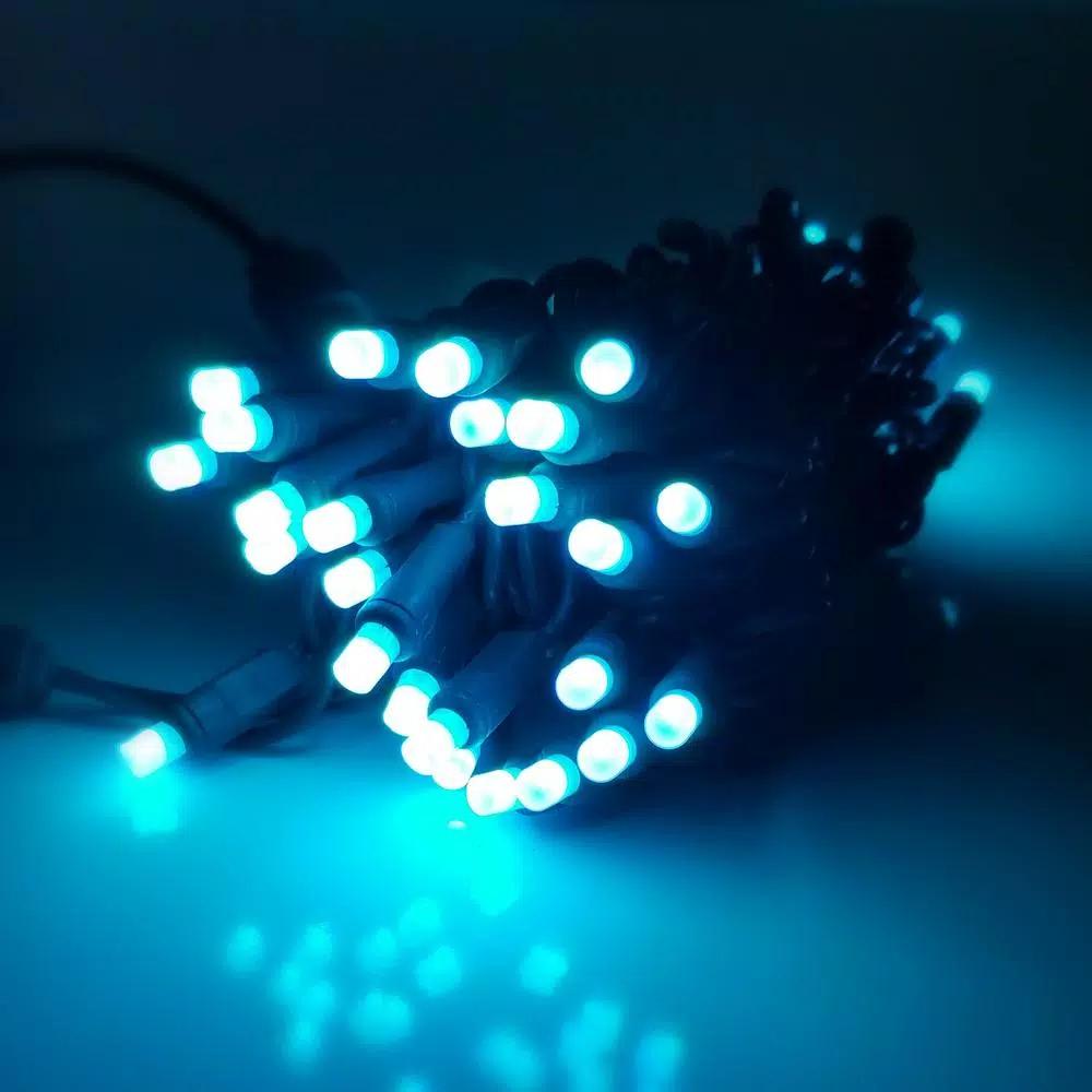 HOLIDYNAMICS HOLIDAY LIGHTING SOLUTIONS 50-Light RGB LED String Lights, 5 mm Frosted Bulbs, 4 in. Spacing, Green Cord