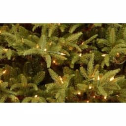 National Tree Company 6 ft. Frasier Grande Artificial Christmas Tree with 800 Dual Color LED Lights thumbnail 2