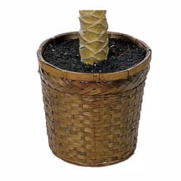 Nearly Natural 6 ft. Sago Palm Silk Tree with Wicker Basket thumbnail 3