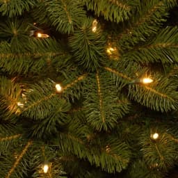 National Tree Company 9 ft. Bayberry Spruce Artificial Christmas Tree with 1000 Dual Color LED Lights & PowerConnect System thumbnail 3