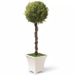 National Tree Company 30 in. Artificial Evergreen Topiary Tree with White Metal Pot thumbnail 1
