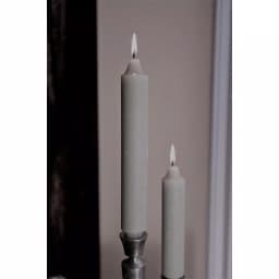 ROOT CANDLES A.I. Root 9 in. Timberline Collenette Platinum Taper Candles, Box of 4 thumbnail 2