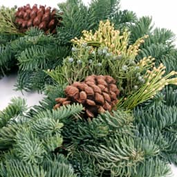 VAN ZYVERDEN 20 in. Live Fresh Cut Pacific Northwest Mixed Christmas Wreath with Pine Cones thumbnail 4