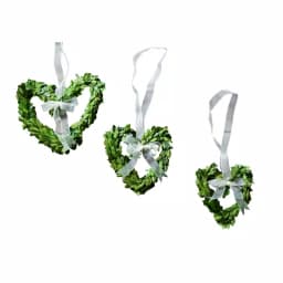 Unbranded Set of 3 Preserved Boxwood Heart Wreaths with Ivory Ribbon thumbnail 2
