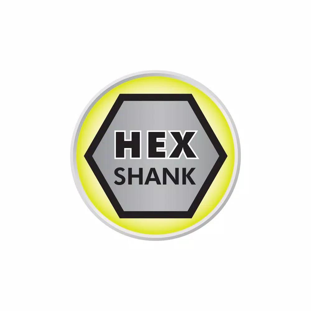 RYOBI Hard Bristle Brush Cleaning Kit, 2-Piece Hex Shank Set